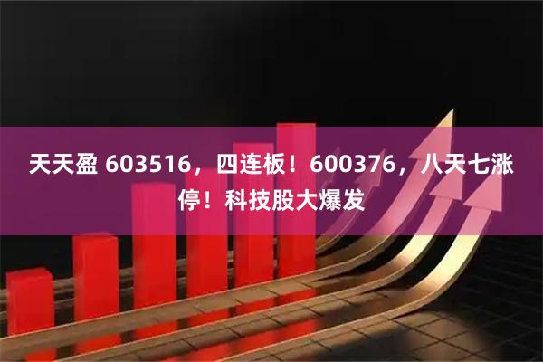 天天盈 603516，四连板！600376，八天七涨停！科技股大爆发