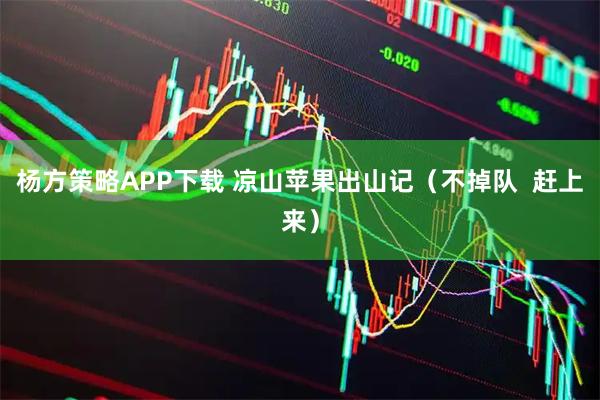 杨方策略APP下载 凉山苹果出山记（不掉队  赶上来）