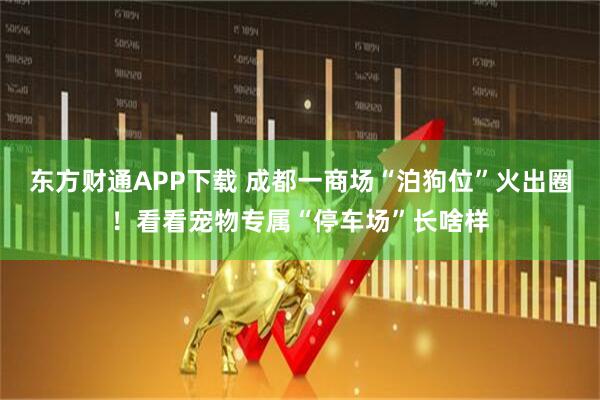 东方财通APP下载 成都一商场“泊狗位”火出圈！看看宠物专属“停车场”长啥样
