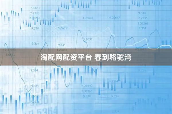 淘配网配资平台 春到骆驼湾